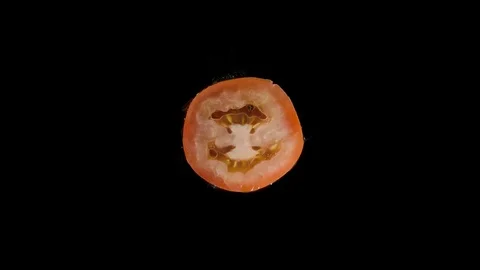 Isolated red tomato flatten out in the studio with black background Stock Footage 97122368