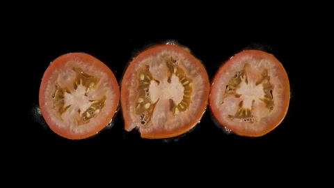 Isolated red tomato flatten out in the studio with black background Vidéo 97123073