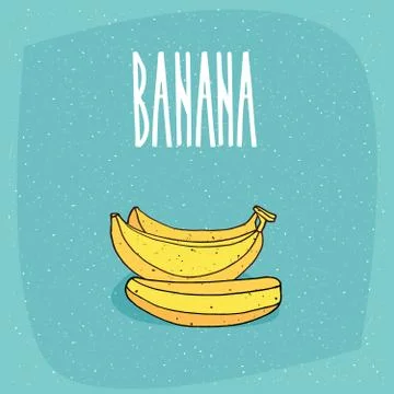 Isolated ripe and whole bananas fruits Stock Illustration