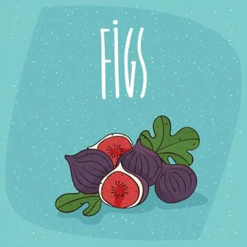 Isolated ripe figs or fig fruits Illustrazione stock