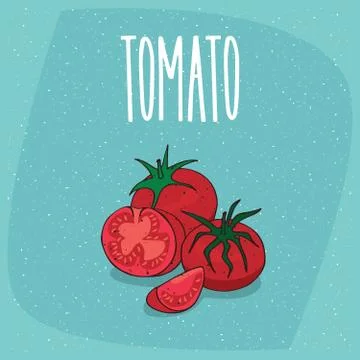 Isolated ripe fruit tomato vegetable whole and cut Stock Illustration