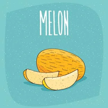 Isolated ripe melon fruit and cut pieces Illustrazione stock