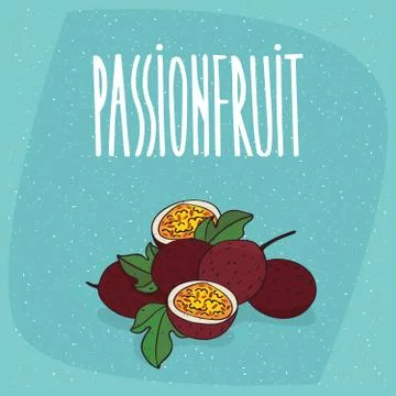 Isolated ripe passion fruit or passionfruit Stock Illustration