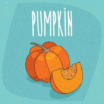 Isolated ripe squash fruit or pumpkin Stock Illustration
