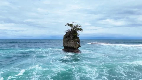 Isolated rocky islet with tree in rough ocean water Stock Footage 339119018