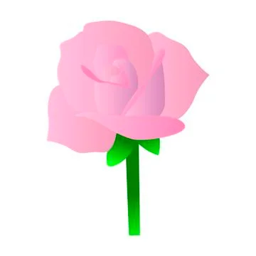 Isolated rose flower Illustrazione stock
