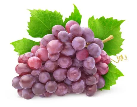 Isolated rose grapes Stock Photos