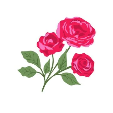 Isolated rose plant Stock Illustration
