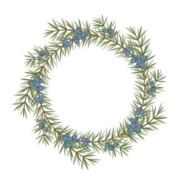 Isolated round frame of a juniper on a white background. Vector illustration. Stock Illustration