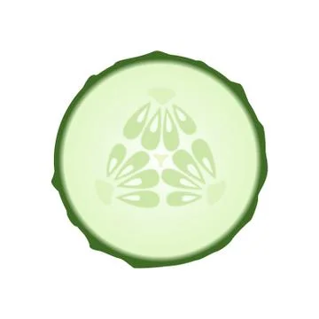 Isolated round slice of green cucumber on white background. Stock Illustration