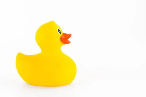 Isolated rubber duck Stock Photos