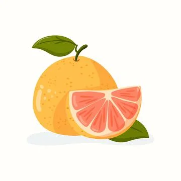 Isolated ruby red grapefruit vector illustration with slice Stock Illustration