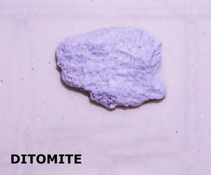 Isolated sample of a Ditomite rock on texture background. Ditomite Sediment.. Stock Photos