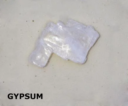 Isolated sample of a Gypsum rock on texture background. Gypsum Sedimentary .. Stock Photos