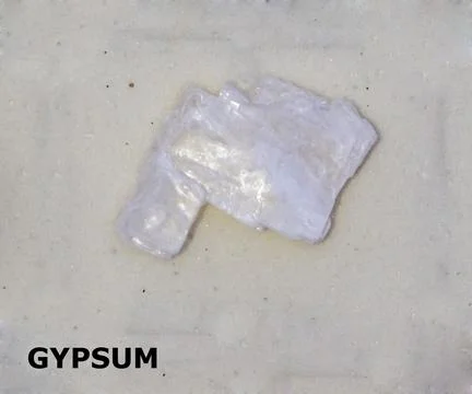 Isolated sample of a Gypsum rock on texture background. Gypsum Sedimentary .. Stock Photos