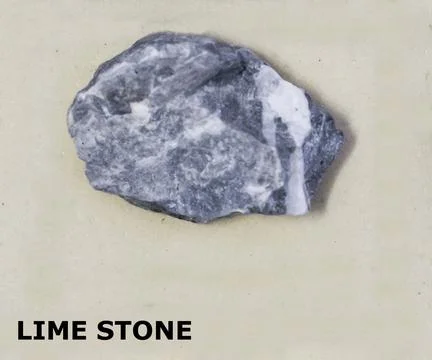 Isolated sample of a Lime Stone rock on texture background. Lime Stone Sedi.. Foto stock