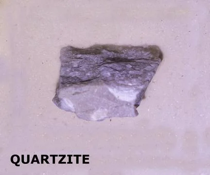Isolated sample of a Quartzite rock on texture background. Quartzite Metamo.. Stock Photos
