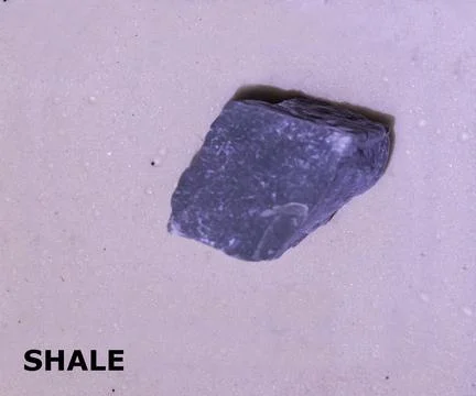 Isolated sample of a shale rock on texture background. shale Metamorphic Ro.. Фото