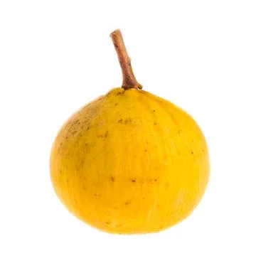 Isolated santol fruit Stock Photos