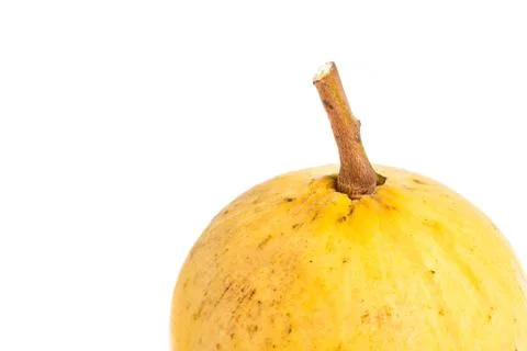 Isolated santol fruit Stock Photos