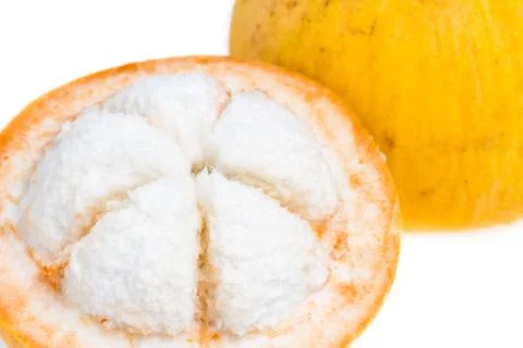 Isolated santol fruit Stock Photos