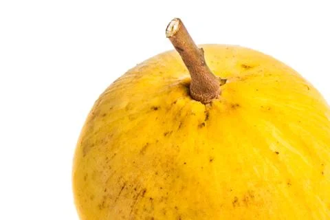 Isolated santol fruit Stock Photos