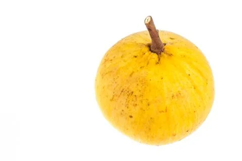 Isolated santol fruit Stock Photos