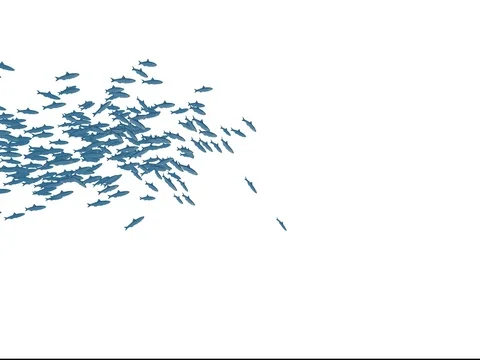 Isolated School of Fish Stock Footage 81455629