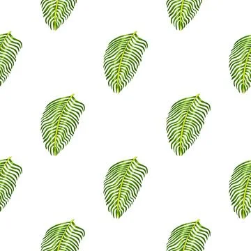 Isolated seamless botany pattern with tropical fern leaves print. White backg Stock Illustration