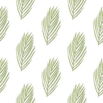 Isolated seamless doodle pattern with green fir branches ornament. White back Stock Illustration