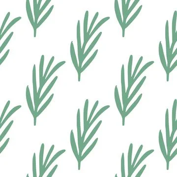 Isolated seamless herbal pattern with green doodle rosemary silhouetes. White Stock Illustration