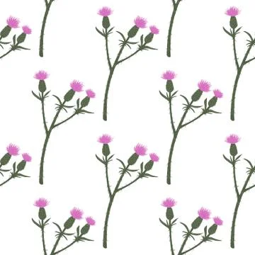 Isolated seamless pattern with burdock branches ornament. Pink flowers on whi Stock Illustration