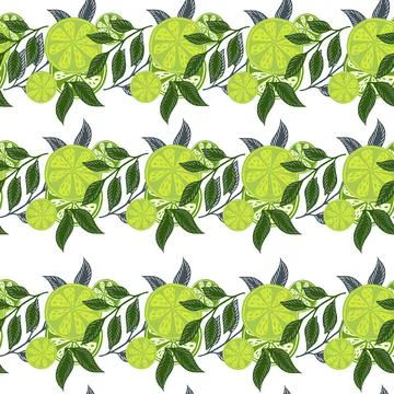 Isolated seamless pattern with green doodle lime slices citrus fruit ornament Stock Illustration