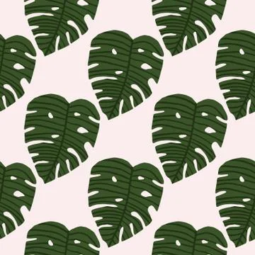 Isolated seamless pattern with green monstera leaves on white background. Stock Illustration