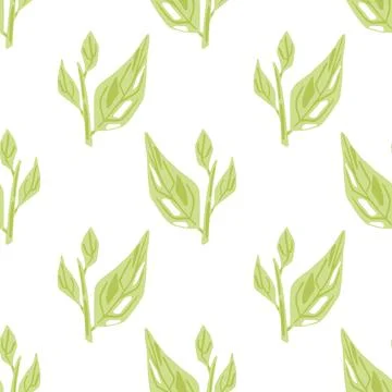 Isolated seamless pattern with light green foliage leaves ornament on white b Stock Illustration