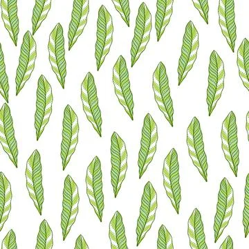 Isolated seamless pattern with little green random abstract leaf elements. Wh Ilustración de archivo