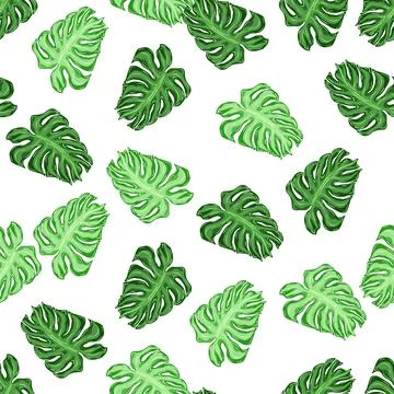 Isolated seamless pattern with random green palm leaf monstera shapes. White  Illustrazione stock