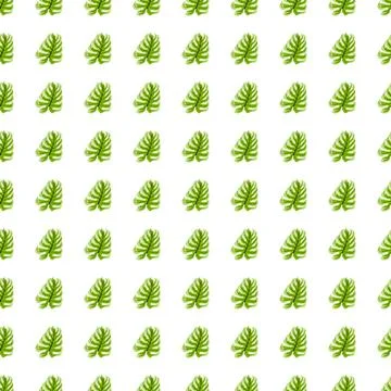 Isolated seamless pattern with small green monstera leaves elements. White ba Stock Illustration