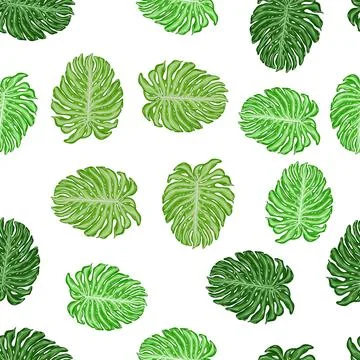 Isolated seamless pattern with tropical green monstera leaves ornament. White Stock Illustration