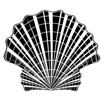 Isolated seashell. Vector illustration of a black contour line, in the style  Illustrazione stock
