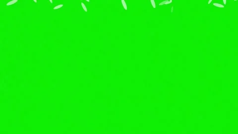 Isolated seeds element on chroma key green screen background with falling Stock Footage 337047642