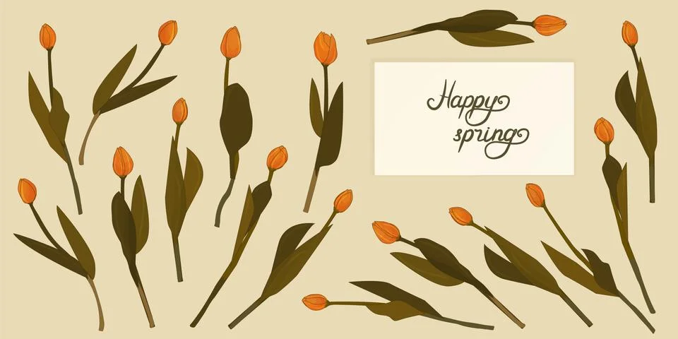 Isolated separated orange cute set of outline tulips on beige background. Vec Stock Illustration