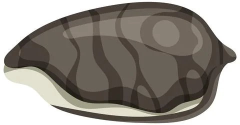 Isolated shell rocky shore Stock Illustration