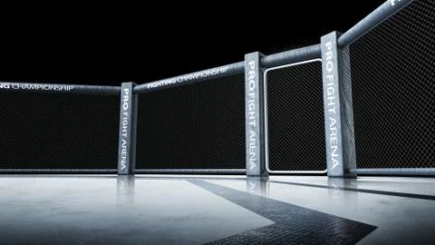 Isolated. Side scene view under lights. Fighting Championship. Fight night. M Stock Illustration