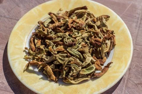 An isolated side view shoot to dried pepper Stock-Fotos
