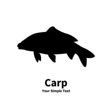 Isolated silhouette of carp fish Stock Illustration