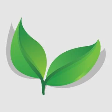 Isolated simple modern look fresh green leaf with  branch  icon illustration Stock Illustration