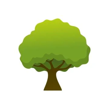 Isolated Simple Shady Tree Plant Illustration Illustrazione stock
