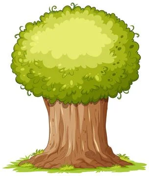 Isolated simple tree cartoon Stock Illustration