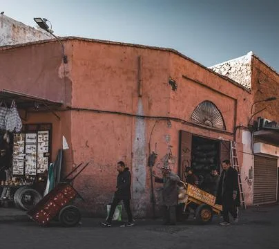 Isolated single palm tree on clear blue sky background. Sunn weather with light Stock Photos